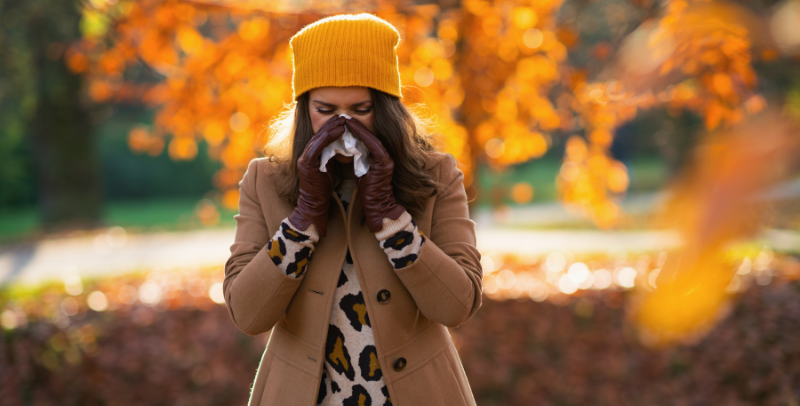 fall allergies